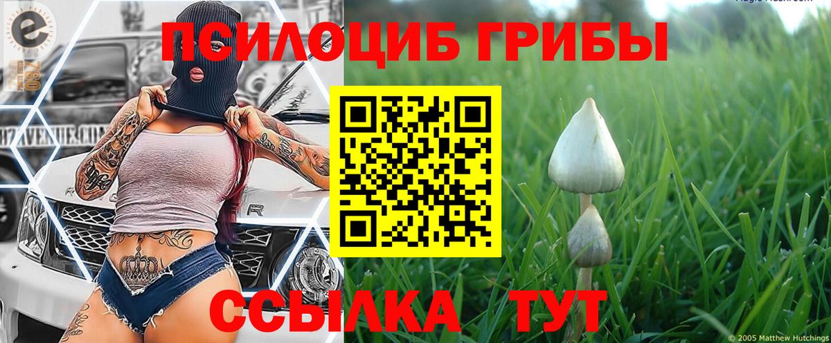 Галлюциногенные грибы мицелий  Вход с VPN  хочу наркоту  Галлюциногенные грибы Cubensis  Магадан 