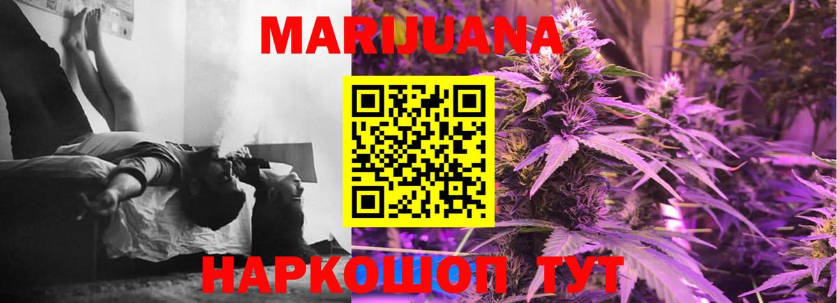 Конопля сатива Магадан